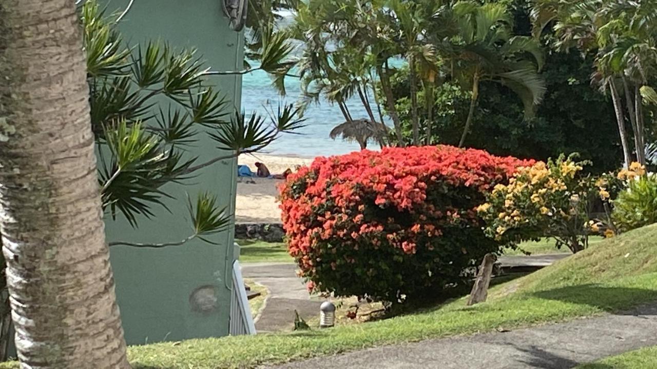 Brin D'Ile Anse Des Rochers Vue Mer A 50 M De La Plage Et Piscine Saint-Francois  Exterior photo