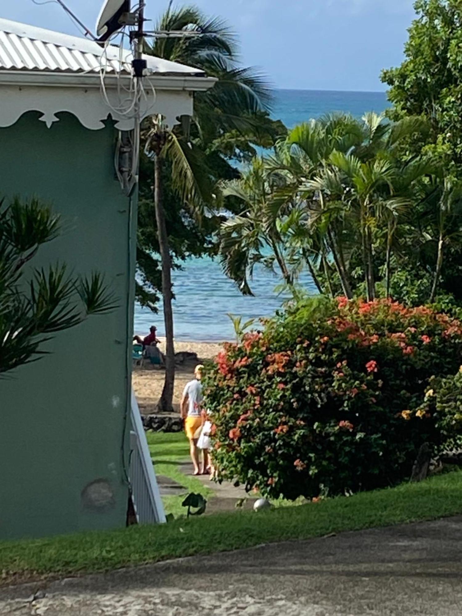 Brin D'Ile Anse Des Rochers Vue Mer A 50 M De La Plage Et Piscine Saint-Francois  Exterior photo